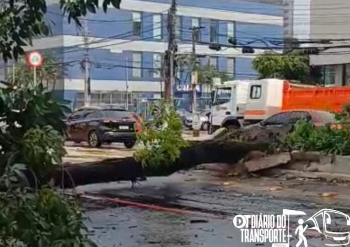 Chuva afeta operação de 14 linhas municipais em São Paulo na tarde desta quarta-feira (8)