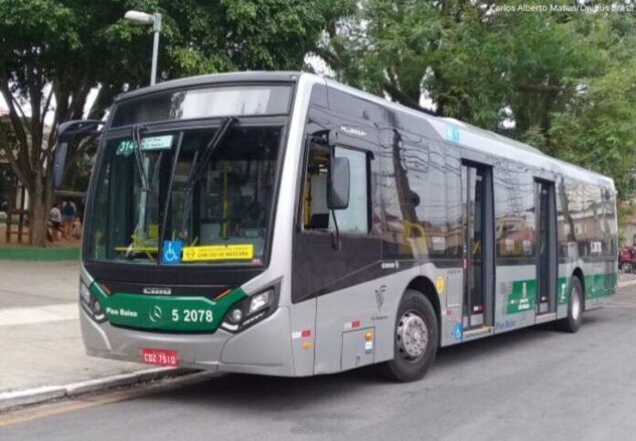 Chuva em São Paulo provoca queda de árvores em ônibus da Viação Sudeste e operações prejudicadas nesta terça-feira (7)