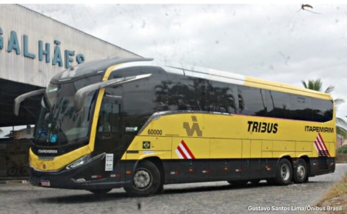 Ônibus 60.000 “TRIBUS” da Nova Itapemirim volta a ir para o Nordeste nesta terça (14)