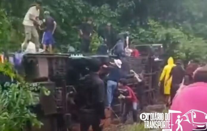 Ônibus da Jarlentur tomba no Pará por causa de árvore que caiu em rodovia neste sábado (11)