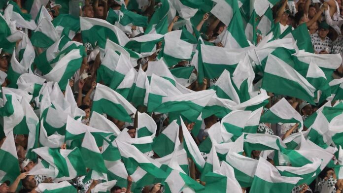 Palmeiras lidera ranking de visualizações no Youtube; veja top 10