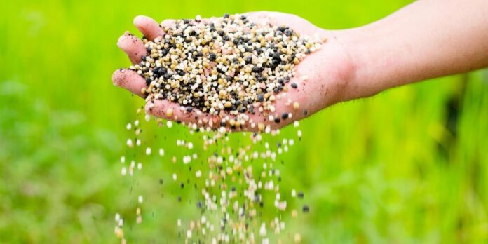 Poder de compra de fertilizantes piorou em dezembro
