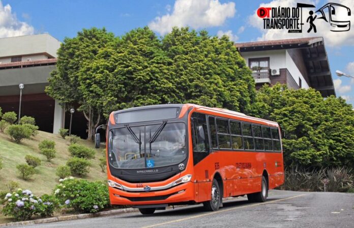 Rainha compra 17 ônibus 0 km para o serviço urbano de São Bento do Sul (SC)