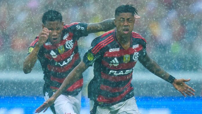Flamengo vence Botafogo e é campeão da Supercopa