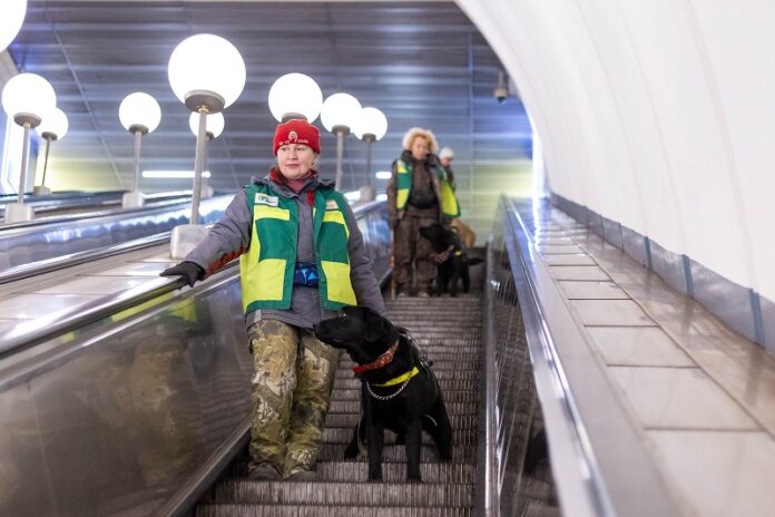 Metrô de Moscou inicia treinamento de cães-guia para auxiliar passageiros com deficiência visual