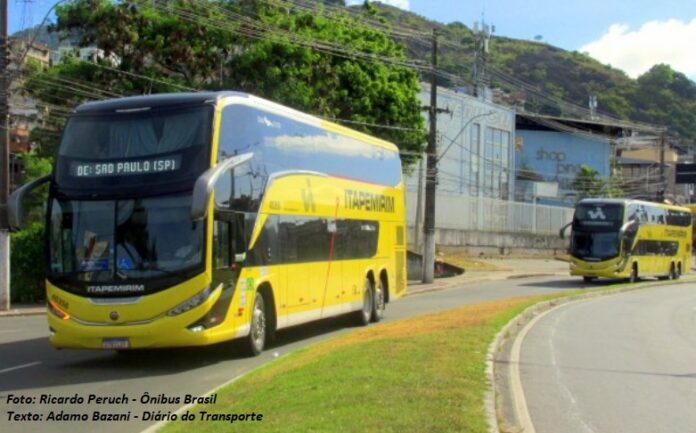 Nova Itapemirim-Suzantur retoma linhas neste fim de semana e anuncia promoções para o pré-Carnaval