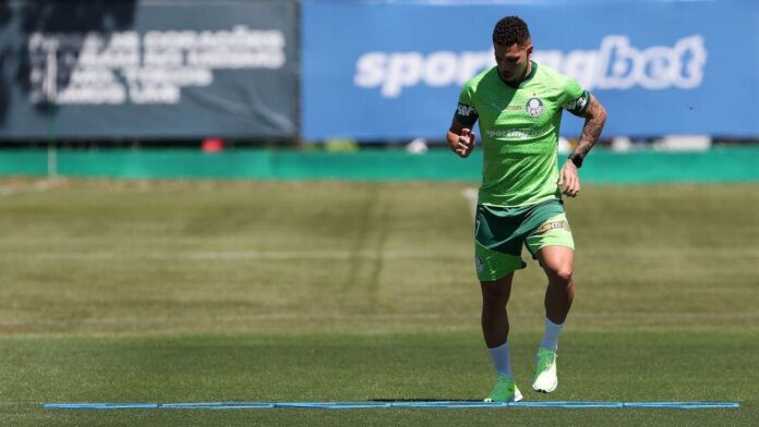 Palmeiras: Paulinho avança em recuperação; Maurício será operado