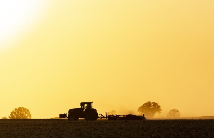 Agricultores argentinos paralisam vendas de soja devido a perspectivas cambiais obscuras