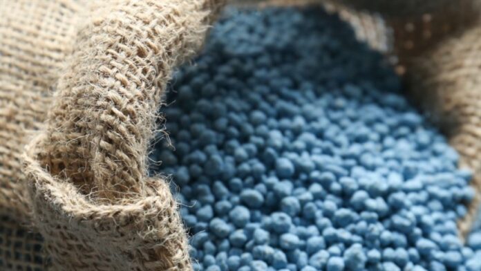 Paranaguá registra maior movimentação de fertilizantes com um único navio
