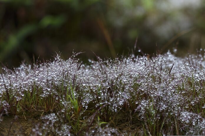 Chuvas se intensificam em áreas do Centro-Oeste e Sudeste na quarta-feira