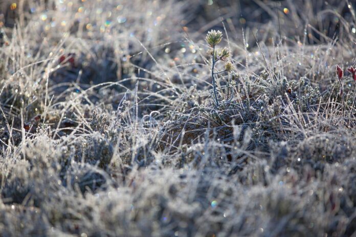 Terça-feira tem previsão de geada e frio de 3°C; veja onde