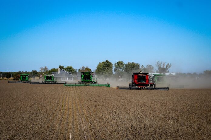 Vendas de soja do Brasil alcançam volume recorde