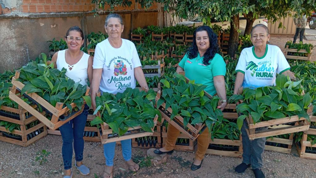 Governo de MT apoia mulheres do campo com 15 mil mudas de banana e kits para cultivo irrigado da fruta - Mulheres receberam mudas da Seaf e contam com apoio técnico da Empaer no cultivo