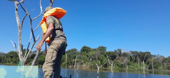 Sema realiza operações em Nova Xavantina e baixada cuiabana contra pesca predatória