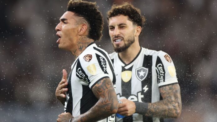 Botafogo vence Estudiantes e segue vivo na briga por vaga na Libertadores