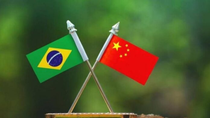 China retoma importações de cinco unidades brasileiras de soja