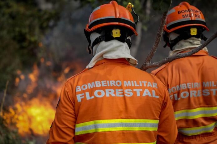 Inscrições do seletivo para o 7º Curso de Prevenção e Combate a Incêndios Florestais encerram nesta sexta-feira (9)