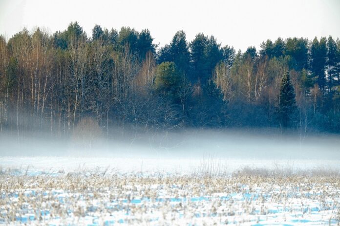 Onda de frio chega ao Brasil com risco de neve, geada e temperaturas negativas