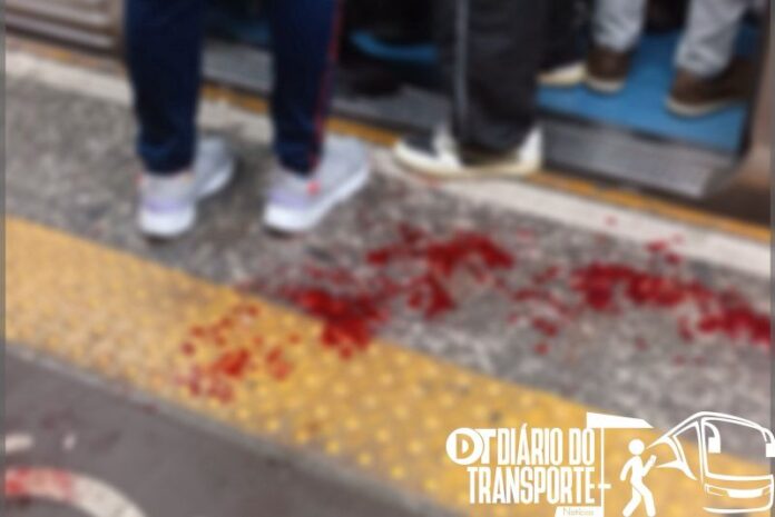 Passageiro fere a mão ao ultrapassar limite da plataforma na estação Sé da linha 3-Vermelha do Metrô nesta quarta-feira (28) 