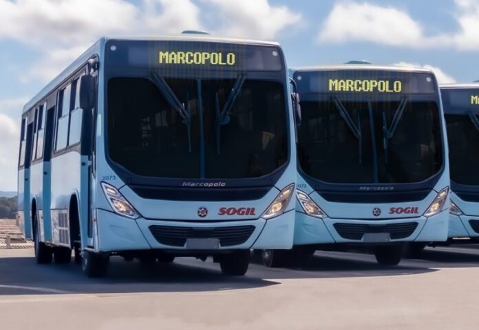 Sogil adquire 15 novos ônibus Marcopolo Torino para transporte de passageiros na Região Metropolitana de Porto Alegre (RS)