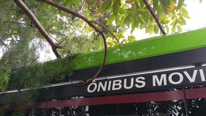 galhos que invadem o viário