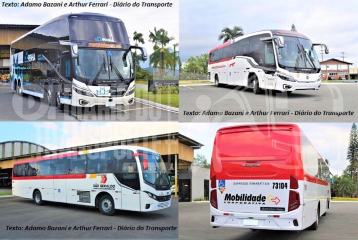Busscar entregou mais de 120 ônibus para o Grupo Comporte e novas encomendas já foram realizadas