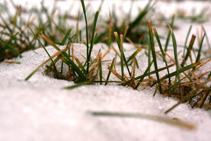 Frio segue intenso e volta a causar geadas na quarta-feira