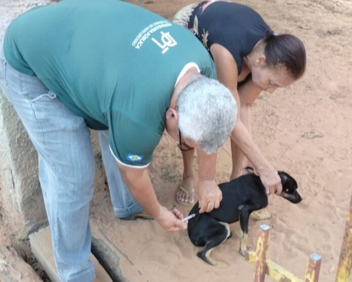 Município realiza vacinação de pets de porta em porta