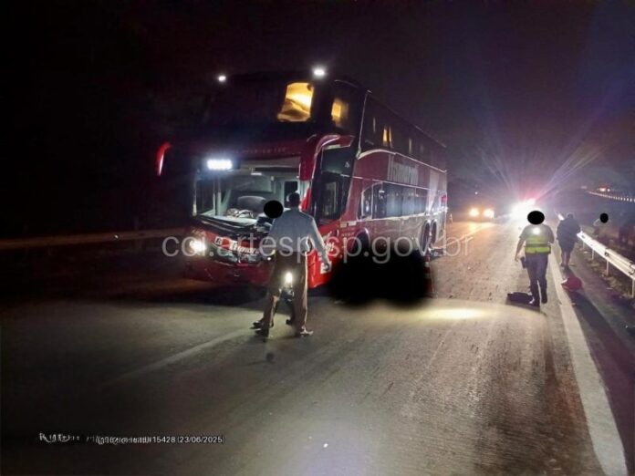 Ônibus da Itamarati atropela vaca na rodovia Washington Luís, em Rio Claro (SP), e motorista fica ferido nesta segunda (23)