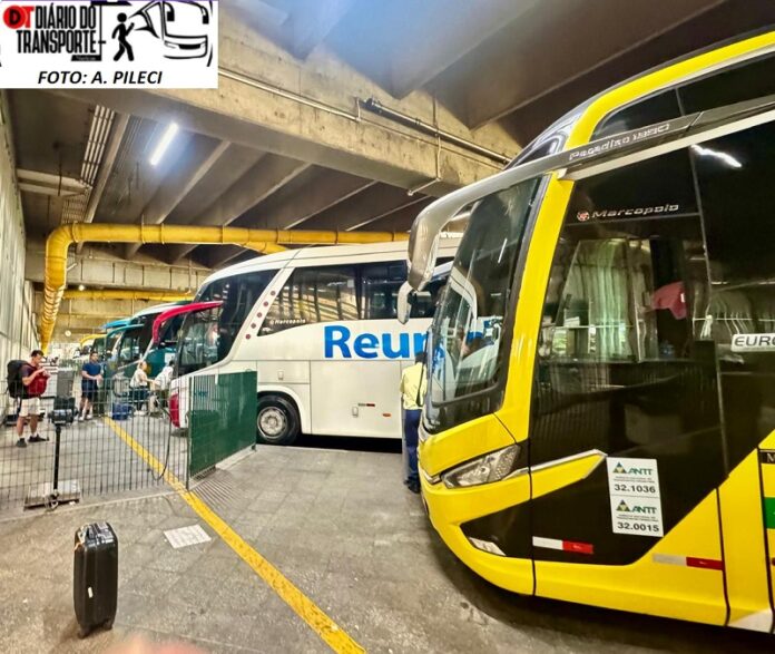 Para especialista, transporte rodoviário precisa de competição isonômica e justa