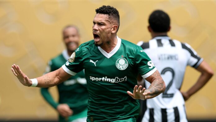 Paulinho revela 'previsão' antes do gol em Palmeiras x Botafogo e desabafa