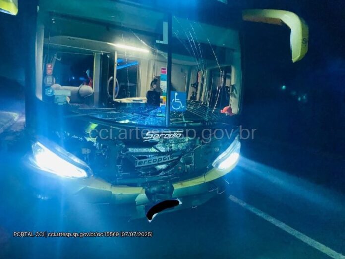 Ônibus atropela bovinos e causa incidente com caminhão e carreta na SP-330 em Santa Rita do Passa Quatro (SP)
