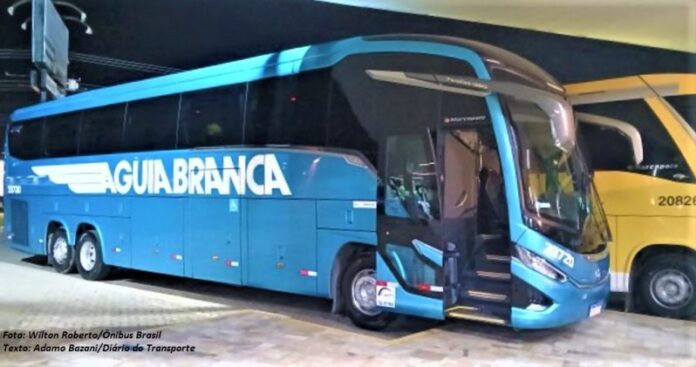 Águia Branca abre nesta terça (12) vagas para agentes de vendas de passagens e cria mais postos para motoristas com vistas às linhas da Itapemirim