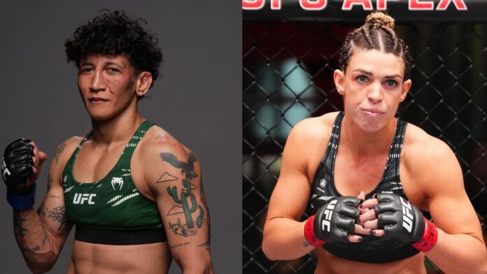 Chinesa abdica de cinturão, e Brasil terá duas lutadoras lutando por título no UFC
