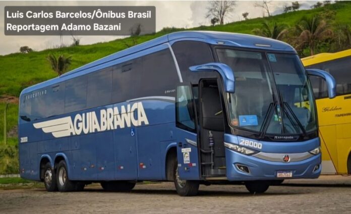 Já está no ar site com domínio da Águia Branca e marca Itapemirim oferecendo passagens