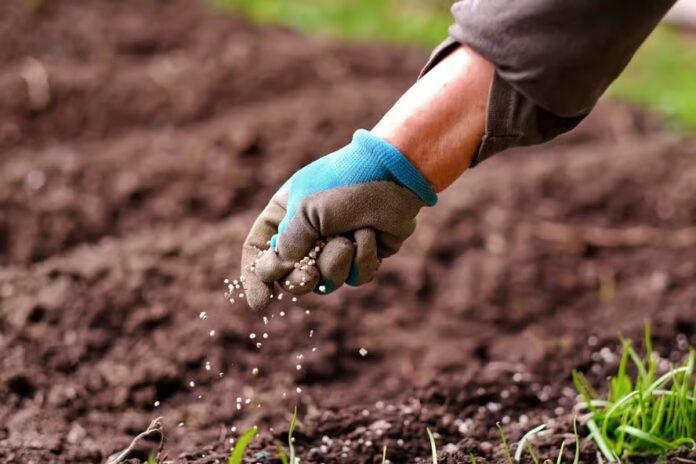 Produtores dos EUA enfrentam pior poder de compra de fertilizantes desde 2010