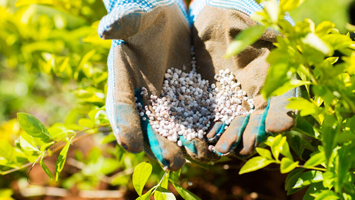 Tensão com os EUA pode reduzir venda de fertilizantes russos ao Brasil?