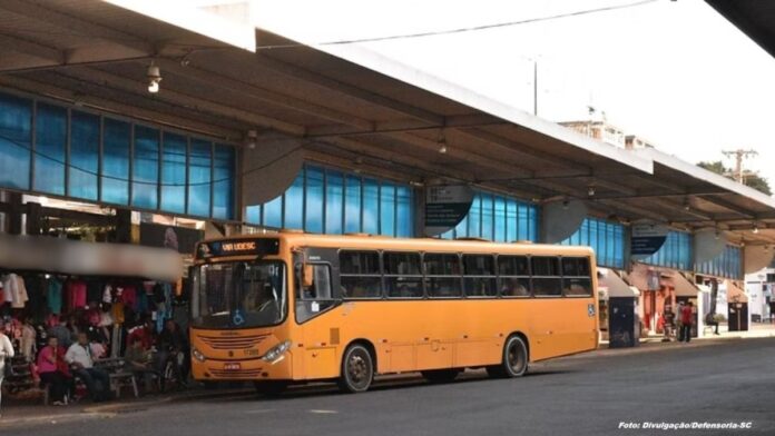 Justiça garante direito de idosos ao transporte coletivo gratuito em Chapecó (SC) sem exigência de cadastro