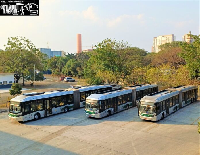 Operações de concessionária do Bloco Leste de 12 terminais, como o D.Pedro II, da capital paulista começam neste sábado (13), com MobiBrasil, Terra e CS Infra no controle