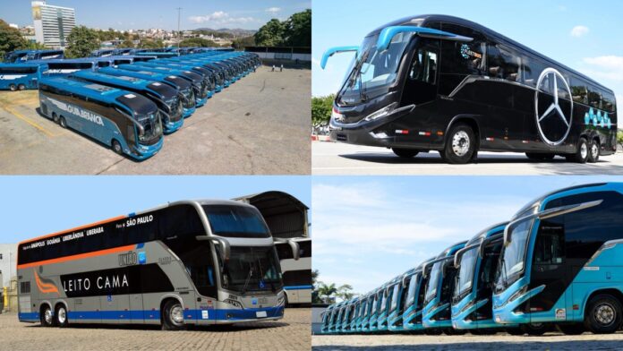 Mercedes-Benz destaca vendas de quase 1,6 mil ônibus para dois grandes grupos: Comporte e Águia Branca