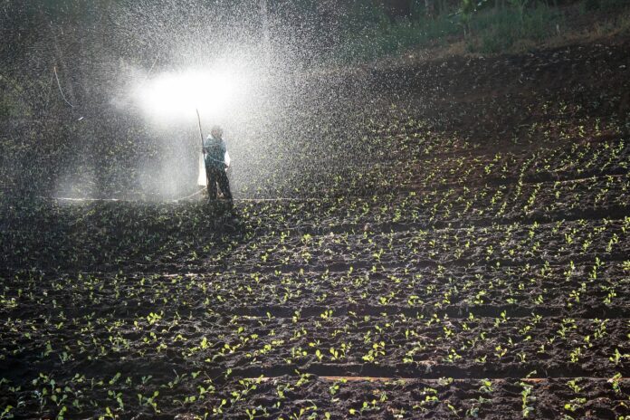 Amônia e enxofre têm alta de preços e podem afetar setor de fertilizantes, diz relatório