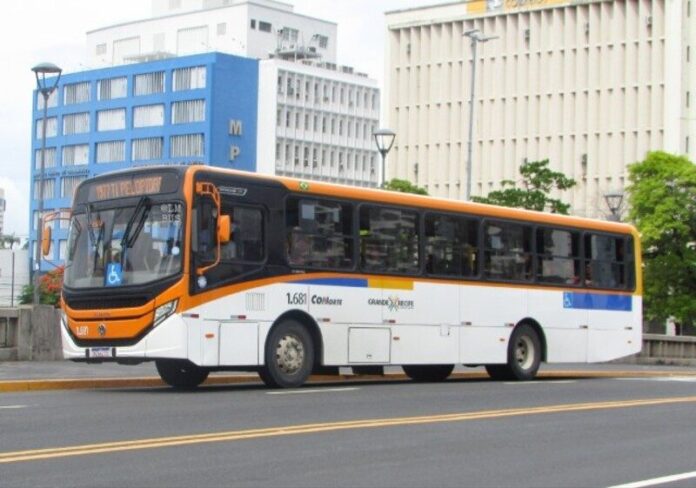 Atendimento de ônibus na Grande Recife, em Pernambuco, tem mudanças a partir de sexta-feira (19) durante obras na BR-101 Norte