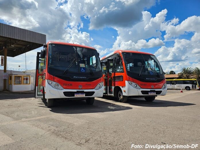 Ônibus Zebrinhas começam a circular na linha 0.959 no Distrito Federal a partir desta segunda-feira (8)