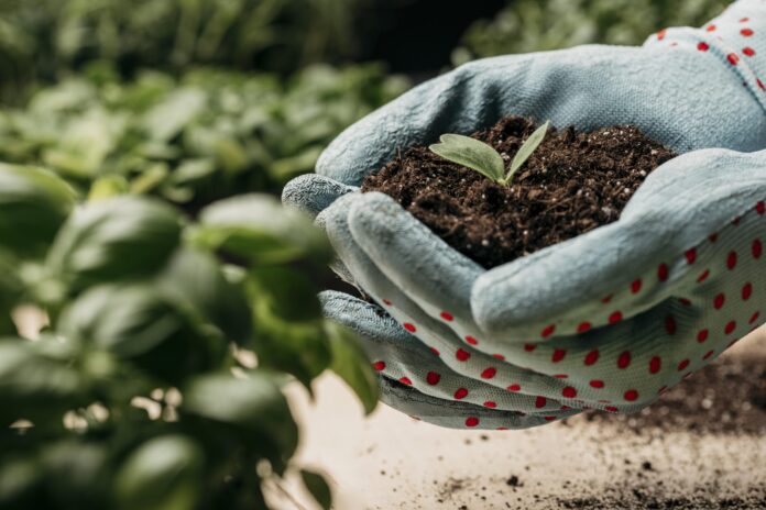 Reino Unido e Brasil assinam parceria em sustentabilidade de fertilizantes