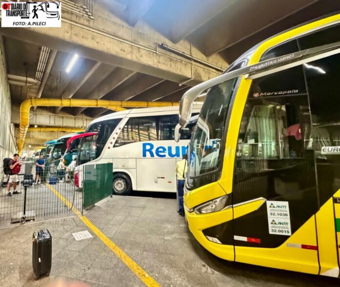 Ônibus mantém participação reduzida em 2024, enquanto avião avança e supera rodoviário no ranking, diz IBGE