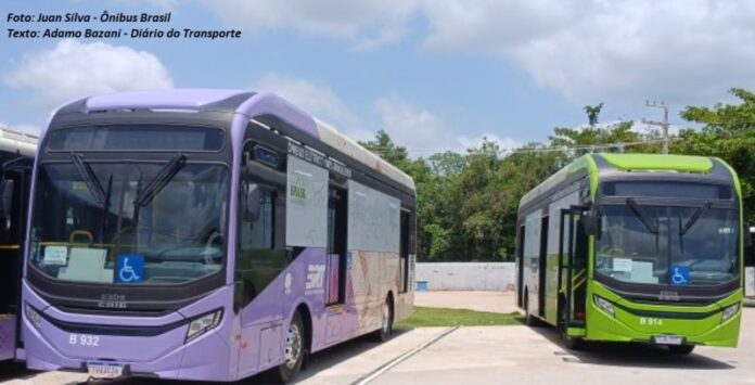 BRT Metropolitano de Belém começa a operar neste sábado (1º) BRT Metropolitano de Belém começa a operar neste sábado (1º) com ônibus divididos por cores e de forma gradativa