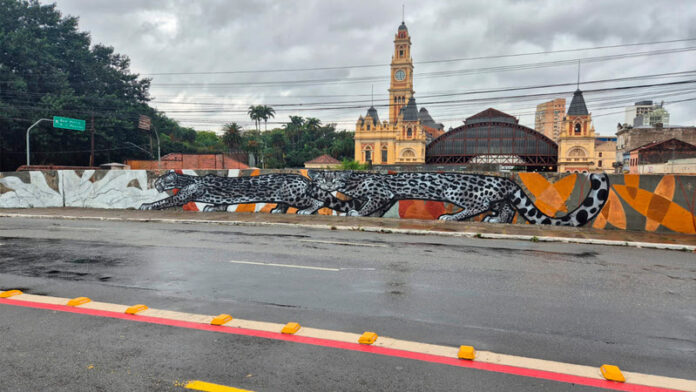 CPTM recebe projeto expográfico COEXISTÊNCIA, que une arte e preservação CPTM recebe projeto expográfico COEXISTÊNCIA, que une arte e preservação da fauna brasileira