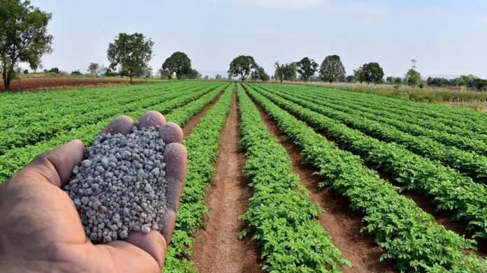Demanda por fertilizantes pode levar Brasil a recorde de importações