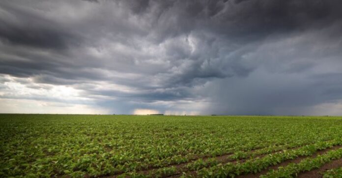 La Niña pode causar invernada durante colheita da soja no Cerrado