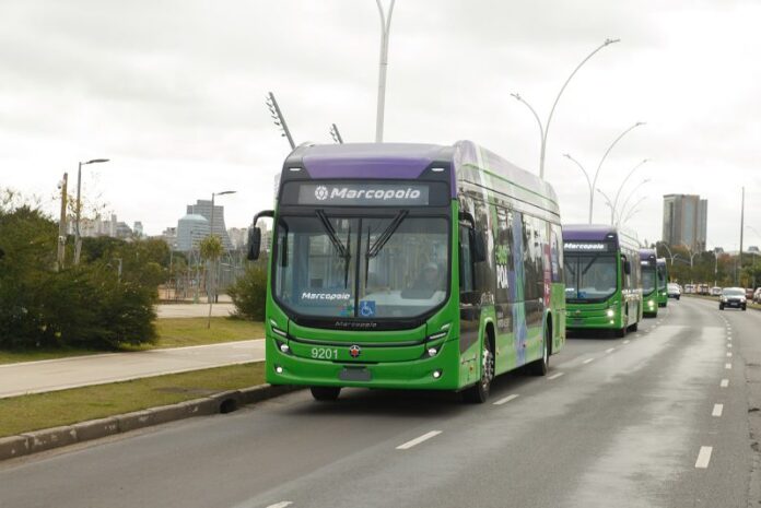 Marcopolo é eleita Empresa do Ano no Prêmio AutoData 2025